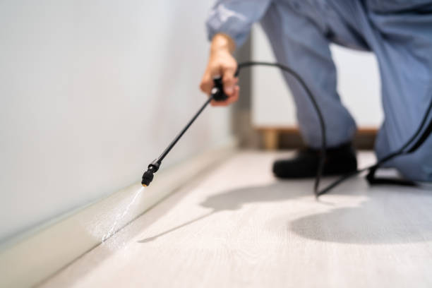 Licensed Rodent Control service in Lucerne Valley, CA - Nex Pest Control