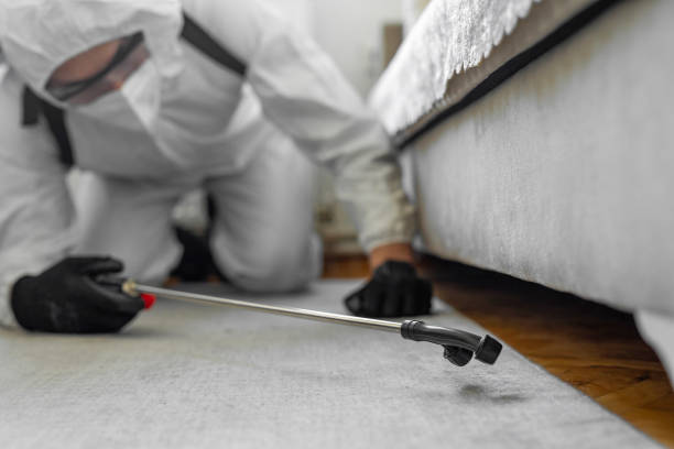Professional Rodent Control technician working in Lucerne Valley, CA