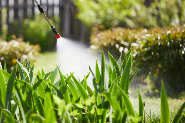 24/7 Emergency Rodent Control experts in Lucerne Valley, CA