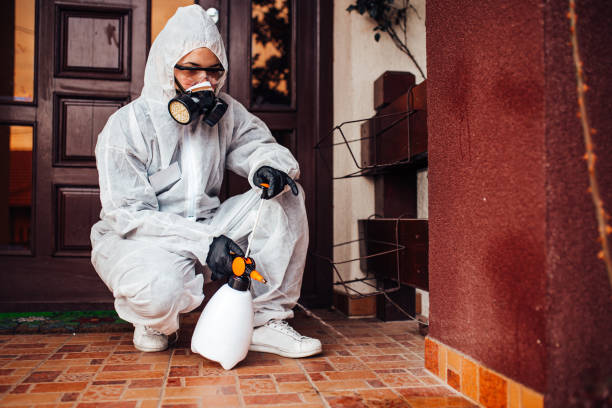 Reliable Rodent Control contractor in Lucerne Valley, CA by Nex Pest Control