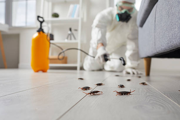 Trusted Fumigation Services service in Lucerne Valley, CA - Nex Pest Control