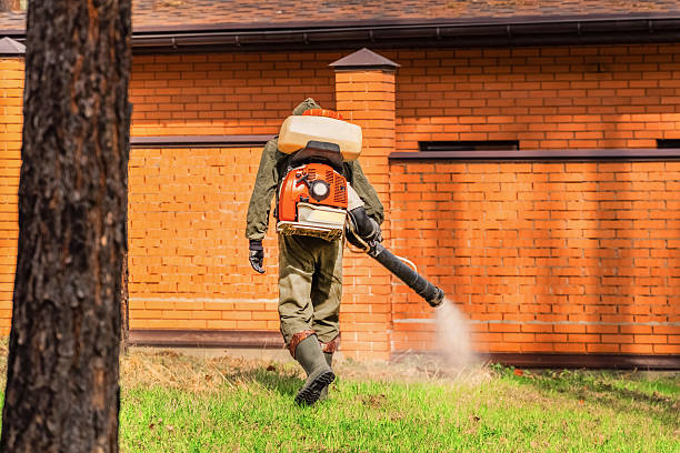 Trusted Cockroach Control service in Lucerne Valley, CA - Nex Pest Control